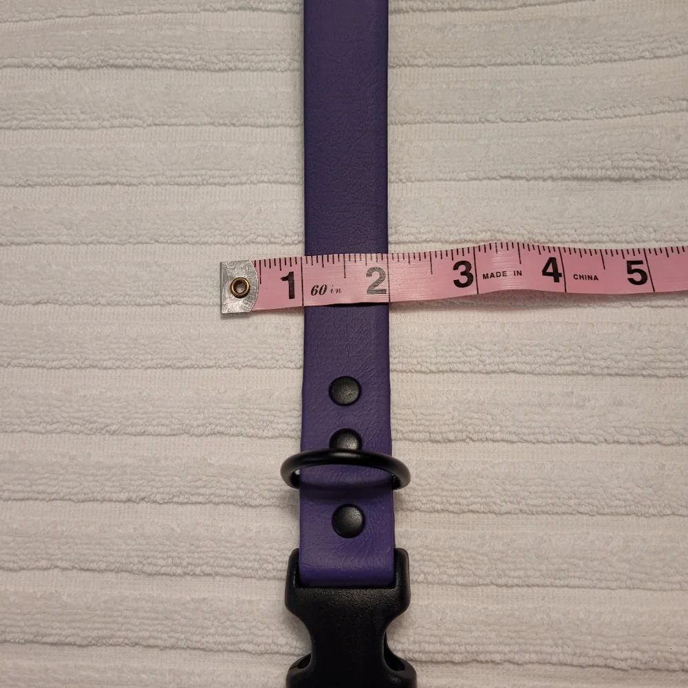 Dog Collar - Purple 21
